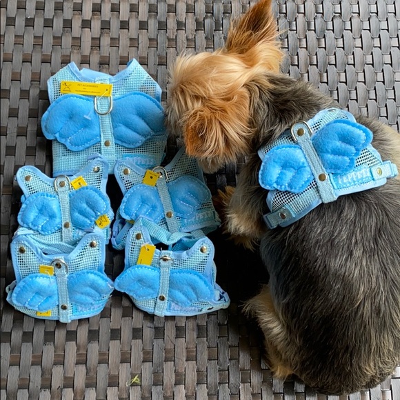 Doggy Angel harness 🐶 model is 7 lbs , wearing S - Picture 6 of 6